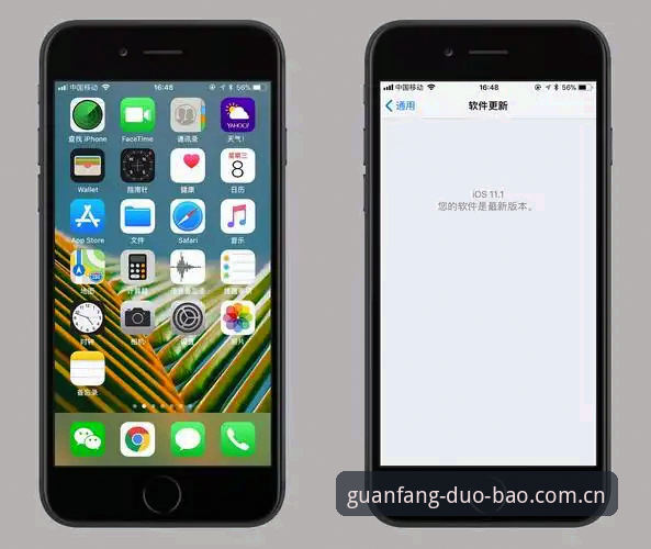 多宝体育苹果iOS客户端详解：从安装到使用的完整技术评测